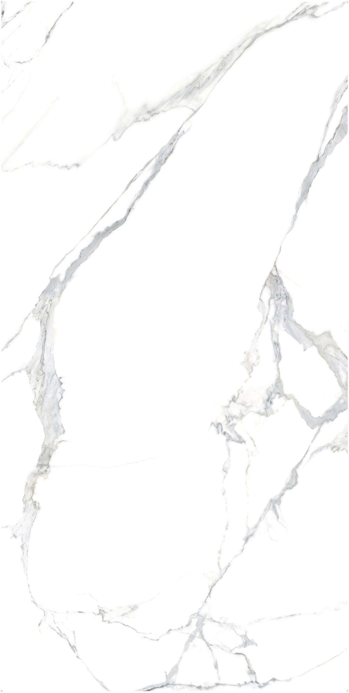 Ava ceramica Marmi Statuario Splendente Farfalla B 120x240 cm